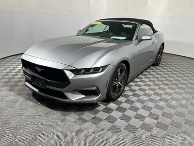 2025 Ford Mustang EcoBoost Premium