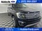 2021 Ford Expedition Max Platinum